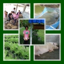 พืชเศรษฐกิจ